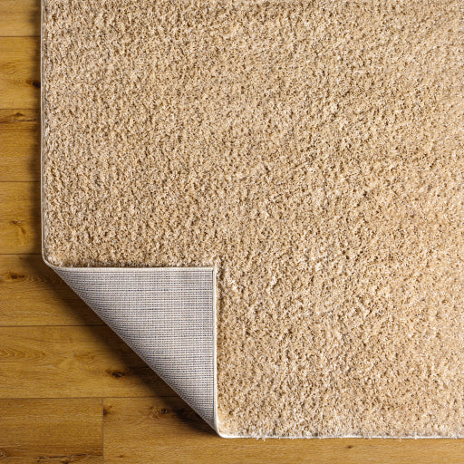 Surya Moda Shag MOG-2308 Ivory Modern  Rug