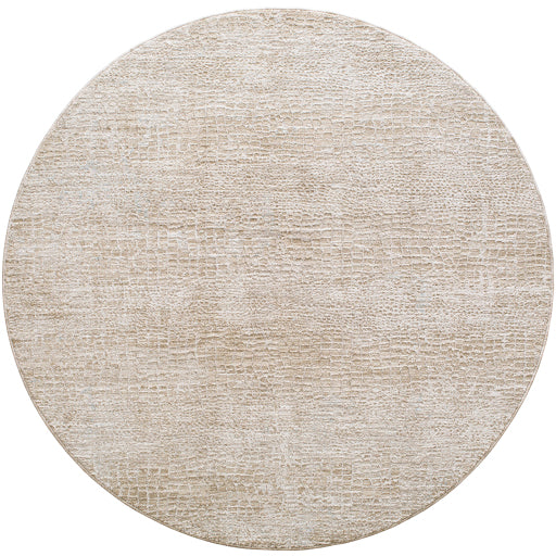 Surya Masterpiece MPC-2307 Light Gray Modern  Rug