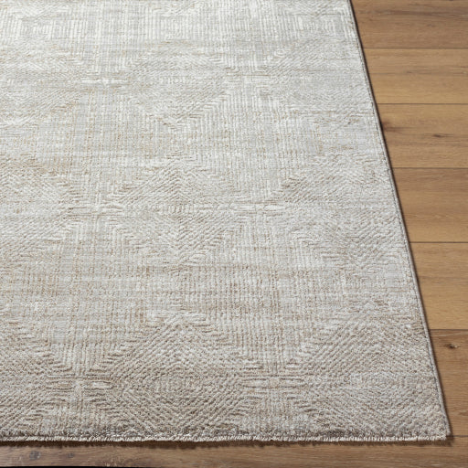 Surya Masterpiece MPC-2313 Light Gray Traditional  Rug