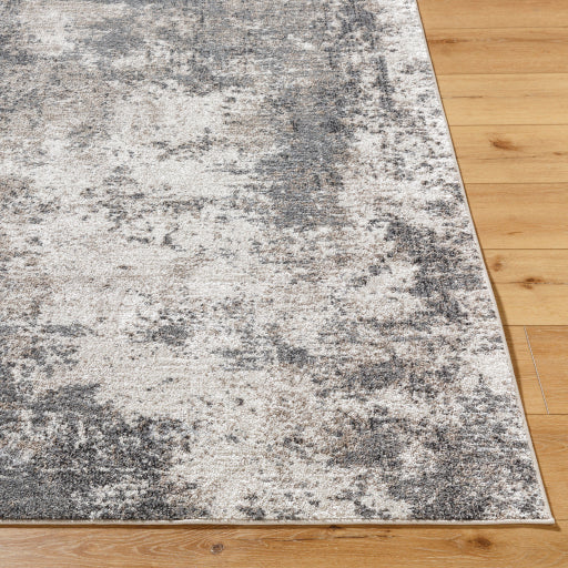 Surya Merengue MRG-2305 Light Brown Modern  Rug