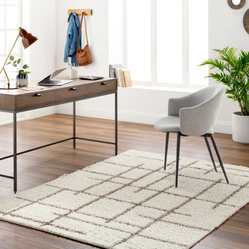 Surya Maryland Shag MSG-2304 Medium Gray Modern  Rug