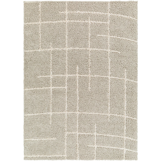 Surya Maryland Shag MSG-2307 Dark Brown Modern  Rug