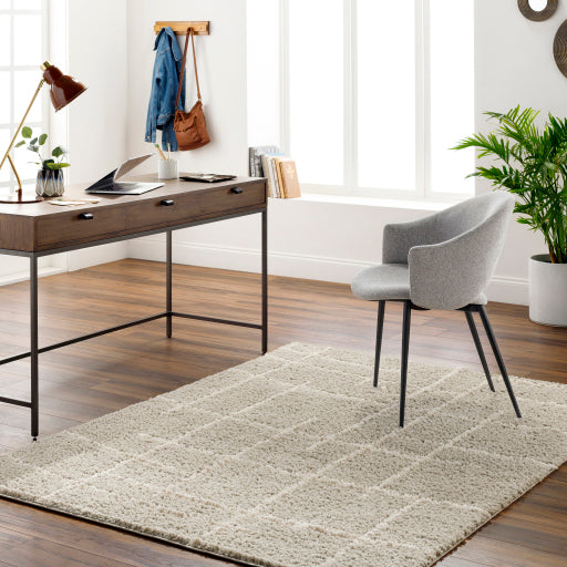 Surya Maryland Shag MSG-2307 Dark Brown Modern  Rug