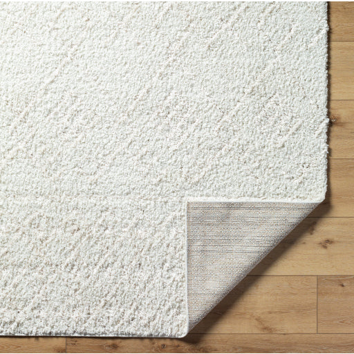 Surya Maryland Shag MSG-2311 White Modern  Rug