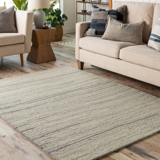 Surya Madelyn MYN-2301 Light Beige Modern  Rug