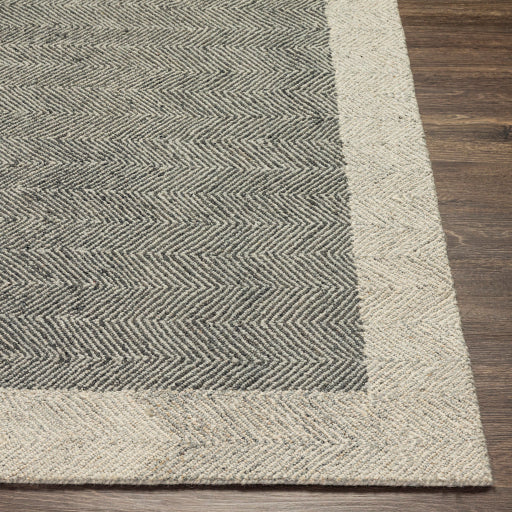 Surya Madelyn MYN-2304 Light Beige Modern  Rug