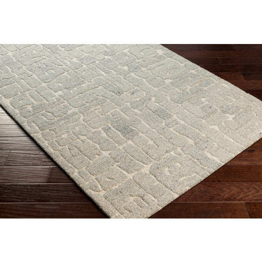 Surya Madelyn MYN-2305 Light Gray Modern  Rug