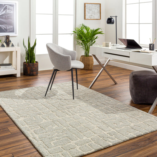 Surya Madelyn MYN-2305 Light Gray Modern  Rug