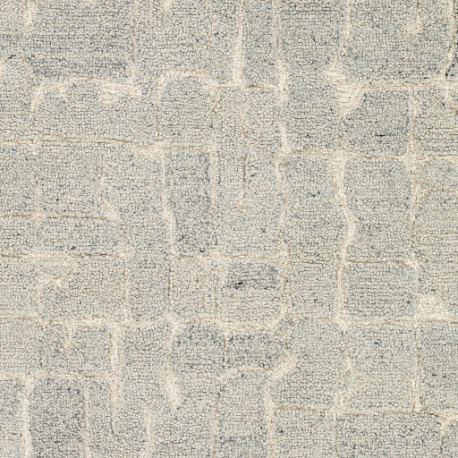 Surya Madelyn MYN-2305 Light Gray Modern  Rug