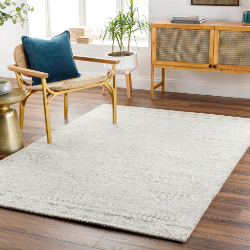 Surya Newcastle NCS-2313 Cream Modern  Rug