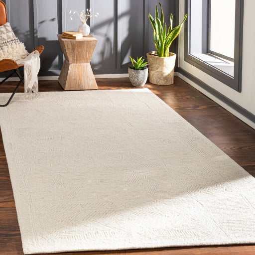 Surya Newcastle NCS-2314 Cream Global  Rug