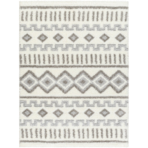 Surya Nomadic NMC-2302 Ivory Global  Rug