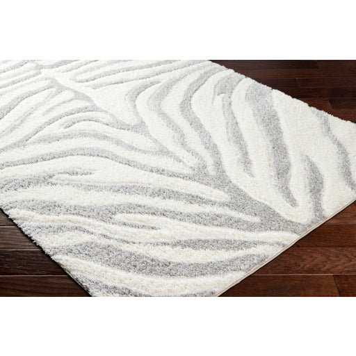 Surya Nomadic NMC-2310 Ivory Modern  Rug