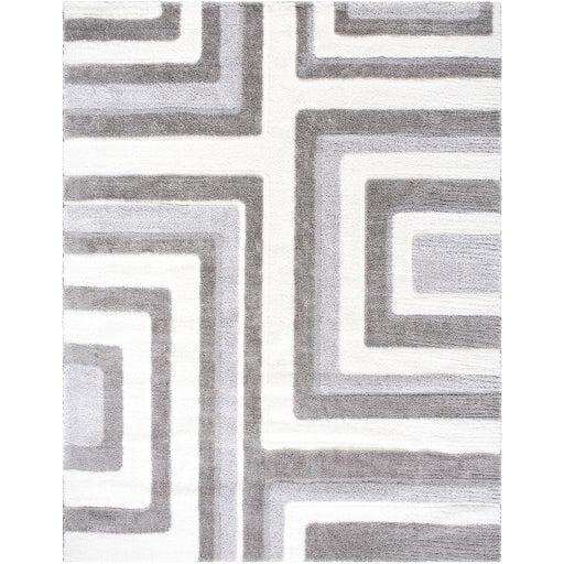 Surya Nomadic NMC-2330 Cream Modern  Rug