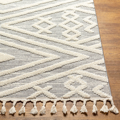 Surya Nora NOA-2302 Light Gray Global  Rug