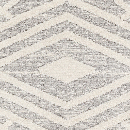 Surya Nora NOA-2302 Light Gray Global  Rug