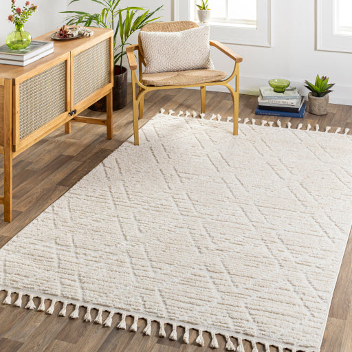 Surya Nora NOA-2308 Light Gray Global  Rug