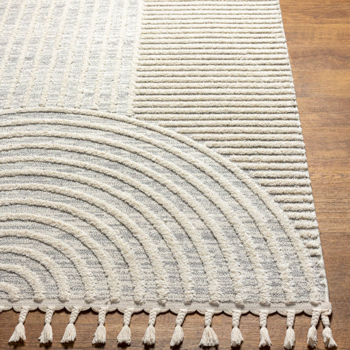 Surya Nora NOA-2310 Light Gray Modern  Rug