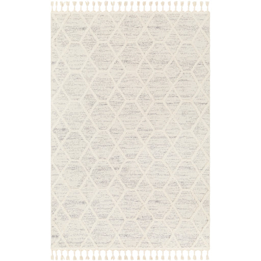 Surya Nora NOA-2311 Light Gray Modern  Rug