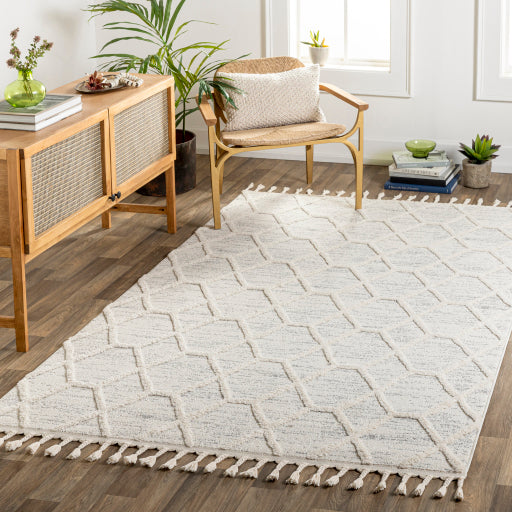 Surya Nora NOA-2311 Light Gray Modern  Rug