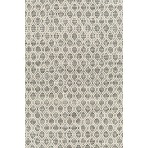 Surya Nevada NVD-2300 Cream Modern  Rug