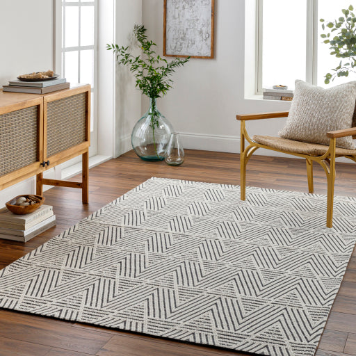 Surya Nevada NVD-2302 Off-White Modern  Rug