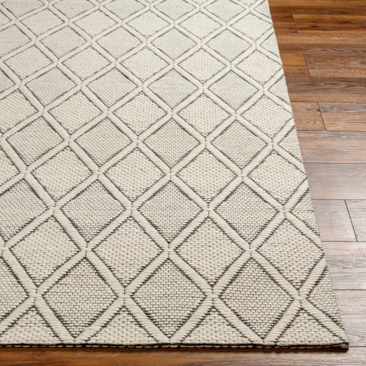 Surya Nevada NVD-2303 Cream Modern  Rug