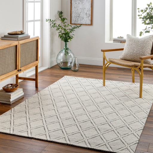 Surya Nevada NVD-2303 Cream Modern  Rug