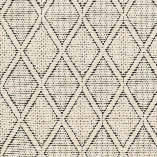 Surya Nevada NVD-2303 Cream Modern  Rug