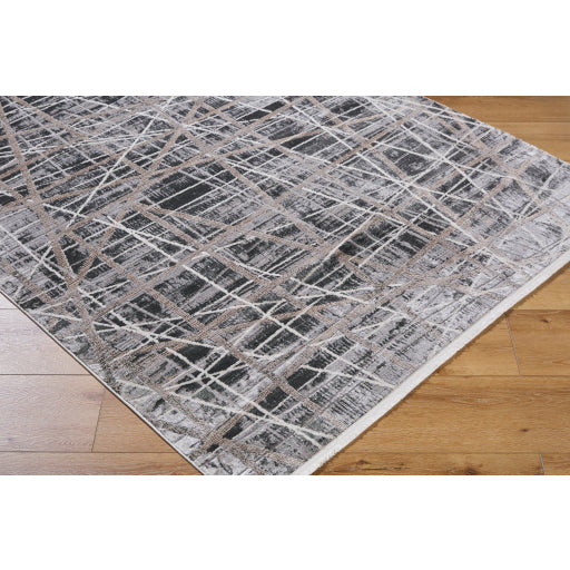 Surya Obsession OBN-2300 Charcoal Modern  Rug