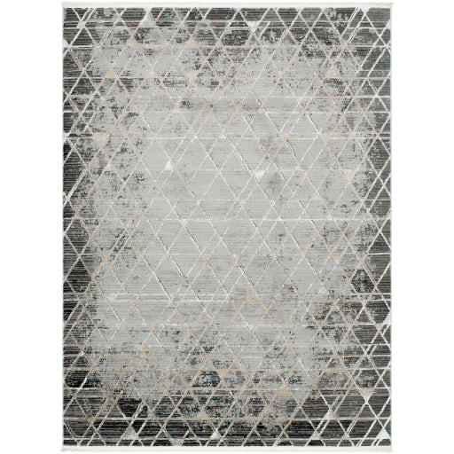 Surya Obsession OBN-2301 Charcoal Modern  Rug