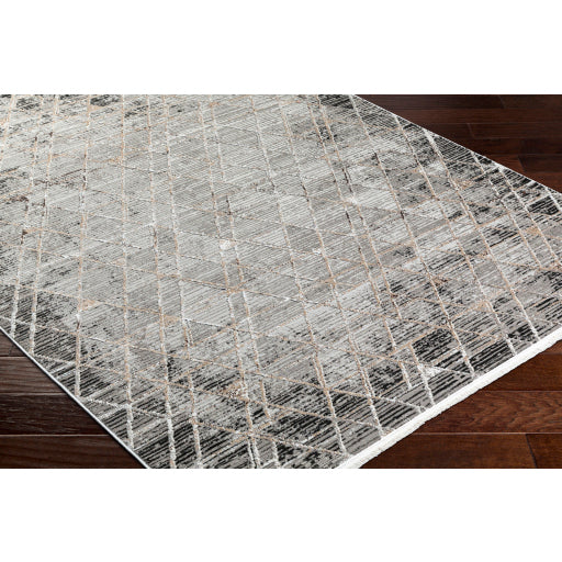 Surya Obsession OBN-2301 Charcoal Modern  Rug