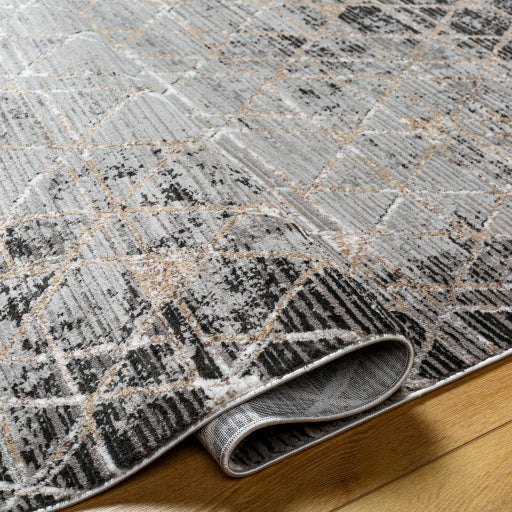 Surya Obsession OBN-2301 Charcoal Modern  Rug