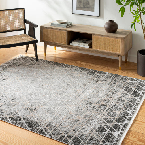 Surya Obsession OBN-2301 Charcoal Modern  Rug