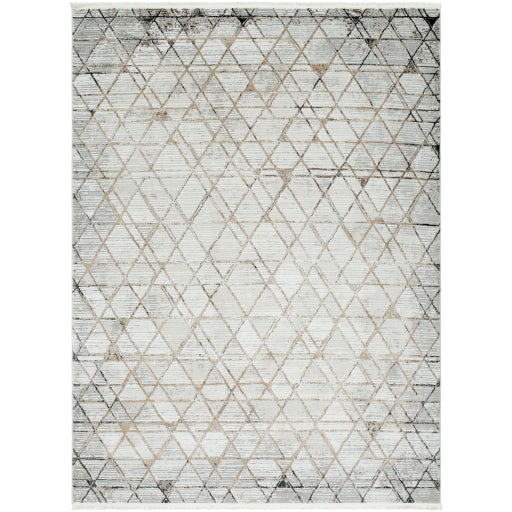 Surya Obsession OBN-2302 Cream Modern  Rug