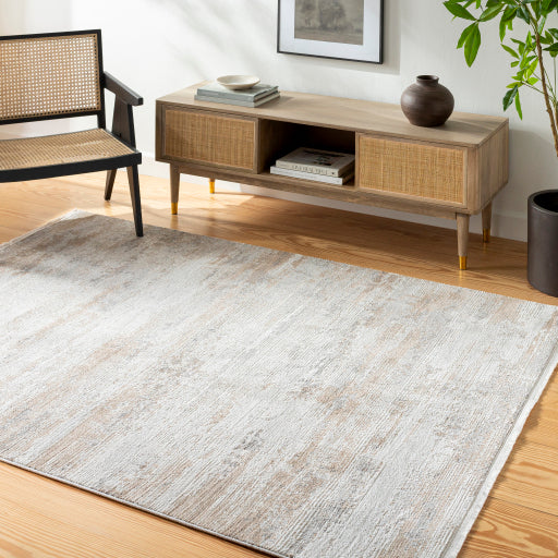 Surya Obsession OBN-2303 Light Gray Modern  Rug