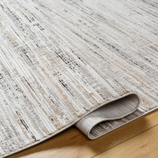 Surya Obsession OBN-2304 Cream Modern  Rug