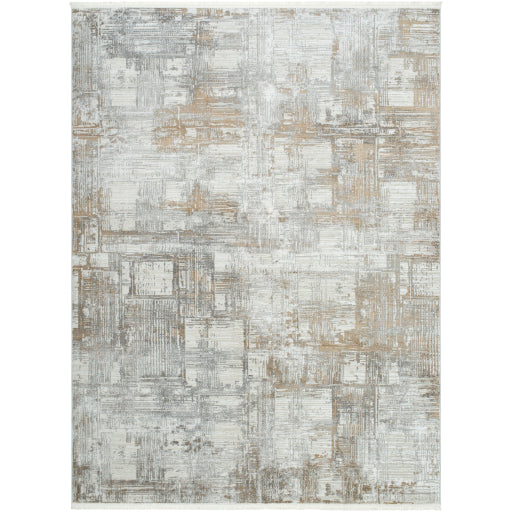 Surya Obsession OBN-2305 Cream Modern  Rug