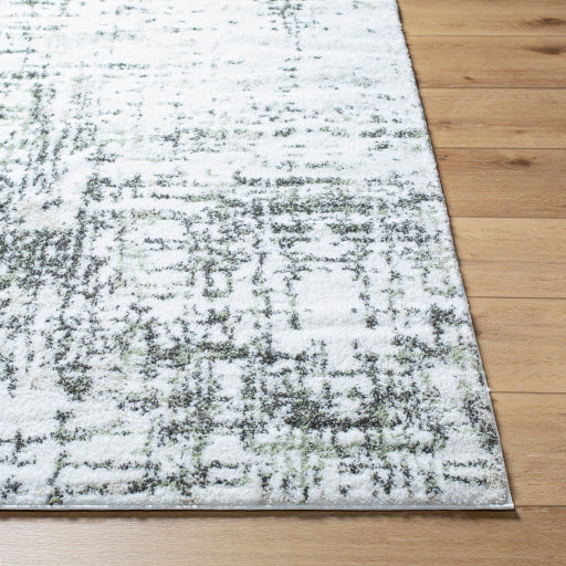 Surya Osaka OKK-2306 Cream Modern  Rug