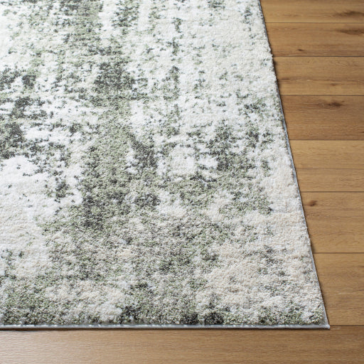 Surya Osaka OKK-2307 Cream Modern  Rug