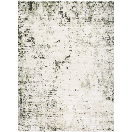 Surya Osaka OKK-2309 Light Beige Modern  Rug