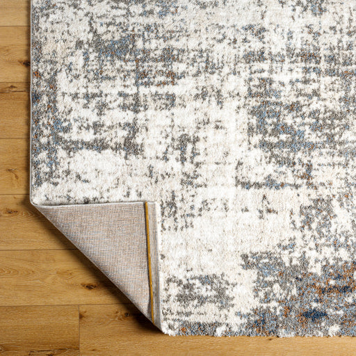 Surya Osaka OKK-2313 Gray Modern  Rug