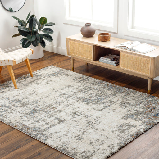 Surya Osaka OKK-2313 Gray Modern  Rug