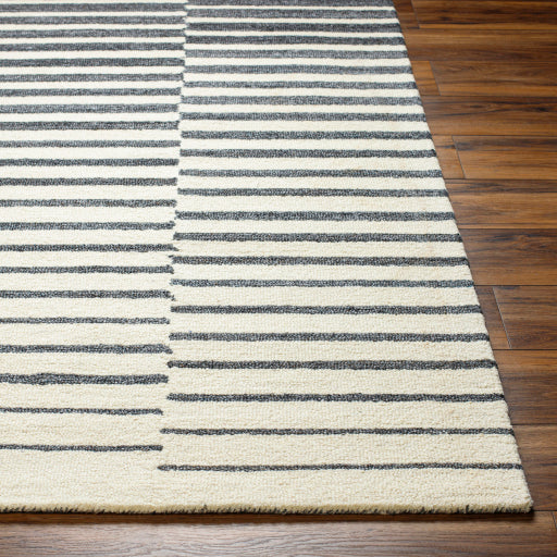 Surya Ottawa OTW-2302 Beige Modern  Rug