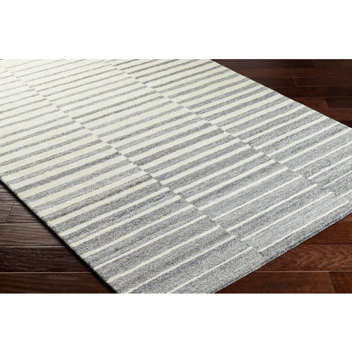 Surya Ottawa OTW-2306 Beige Modern  Rug