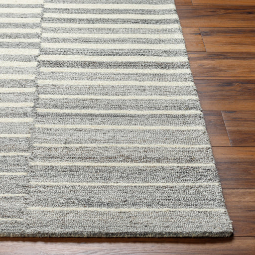 Surya Ottawa OTW-2306 Beige Modern  Rug