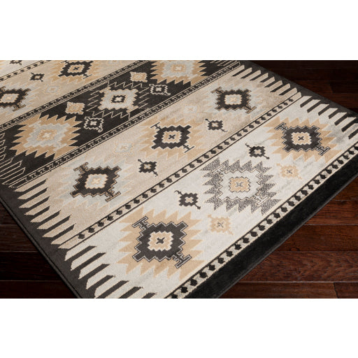 Surya Paramount PAR-1046 Gray Rustic  Rug