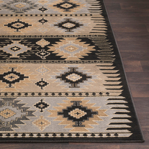 Surya Paramount PAR-1046 Gray Rustic  Rug