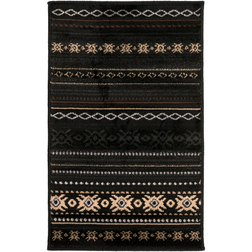 Surya Paramount PAR-1047 Black Rustic  Rug