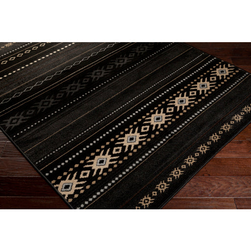 Surya Paramount PAR-1047 Black Rustic  Rug